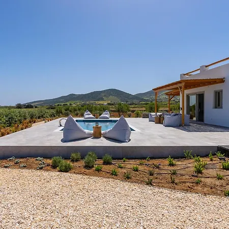 Oliva Andiparos