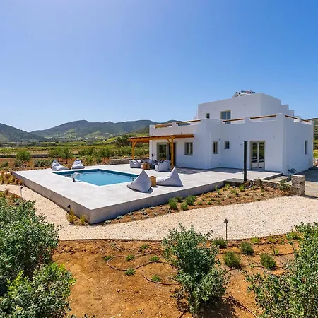 Oliva Andiparos